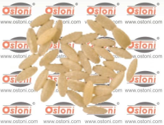 Ostoni P55R - PASTA DIE...