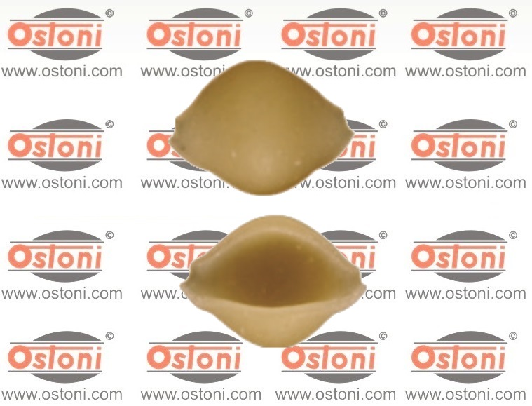 Castiglioni Nedo EP50R -...